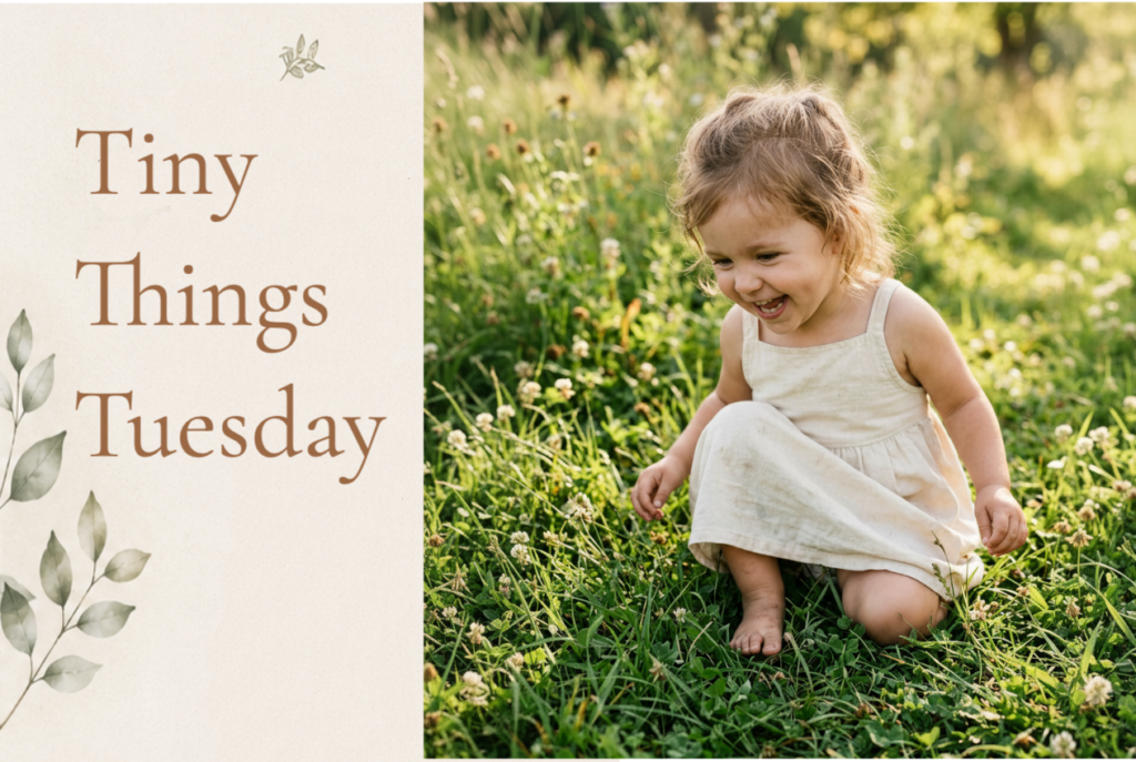 Tiny Things Tuesday: How to Turn Summer’s Sensory Moments Into a Memory